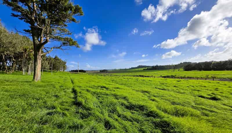 35 Sills Road, Dargaville