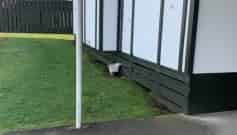 106  Porangahau Rd, Waipukurau and Surrounds