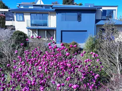 9 & 9A Arthur Terrace, Balclutha