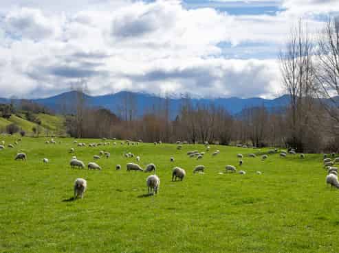 121 Win Valley Road, Dovedale