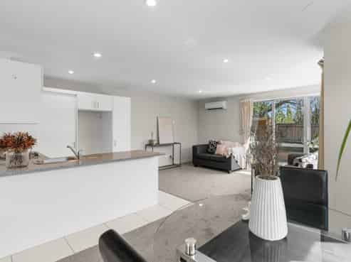 273C Wairakei Road, Bryndwr