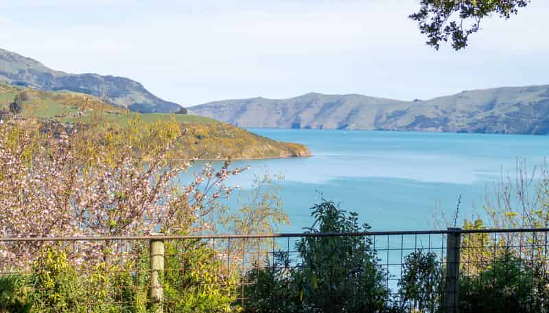 5 Monarch Drive, Robinsons Bay