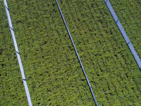 471b Old Coach Road, Paengaroa