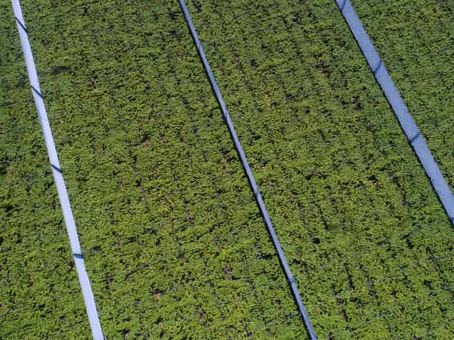 471b Old Coach Road, Paengaroa