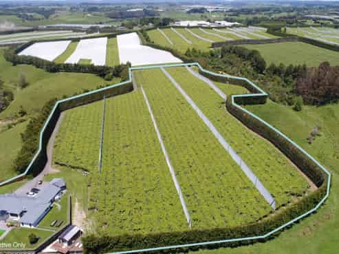 471b Old Coach Road, Paengaroa