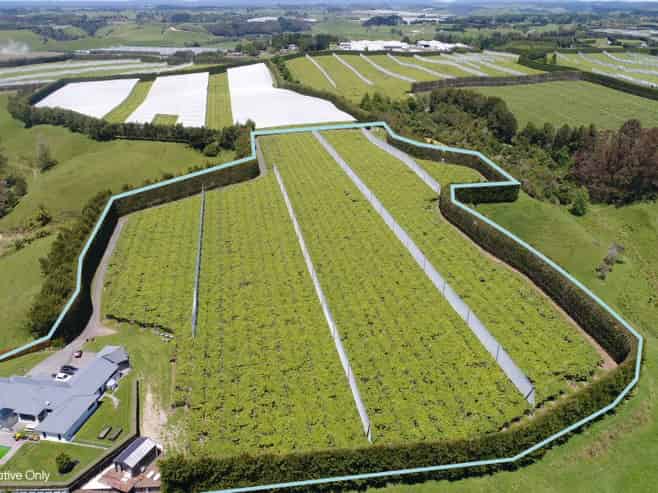 471b Old Coach Road, Paengaroa