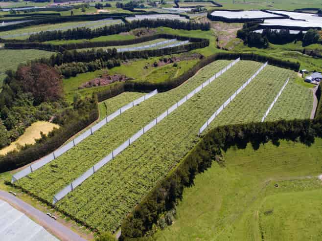 471b Old Coach Road, Paengaroa