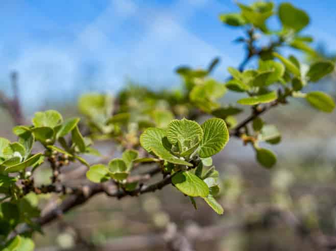 471b Old Coach Road, Paengaroa