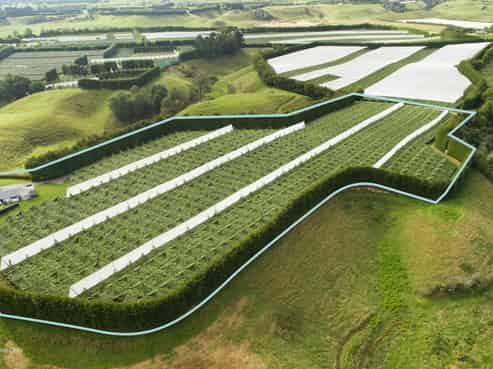 471b Old Coach Road, Paengaroa