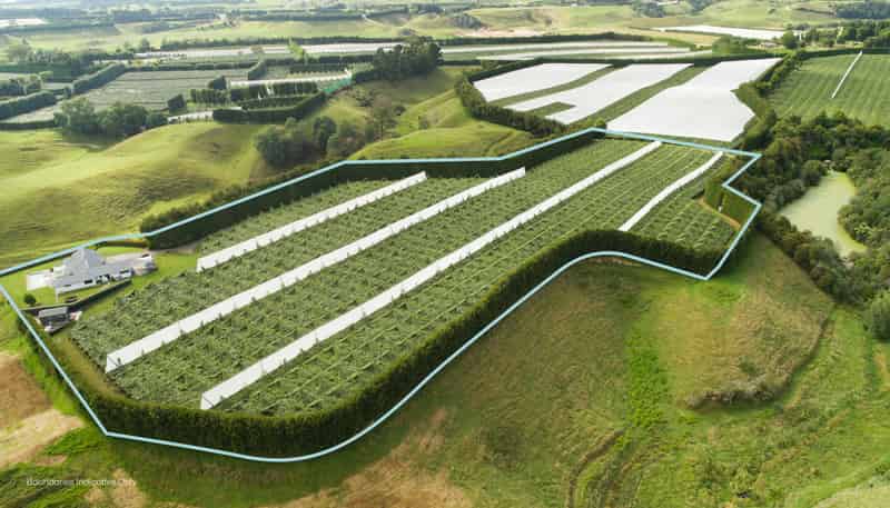 471b Old Coach Road, Paengaroa