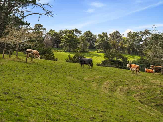 167 Anderson Road, Kaukapakapa