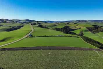 125B Davidson Road, Mimihau