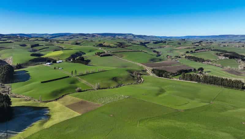 125B Davidson Road, Mimihau
