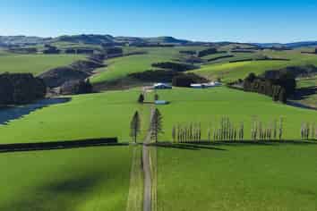 125B Davidson Road, Mimihau