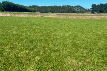 31 Mason Road, Seaward Bush