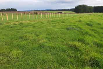Lot 1 49 Laws Road, Dannevirke