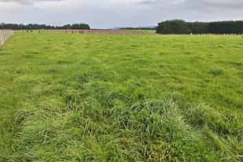 Lot 1 49 Laws Road, Dannevirke