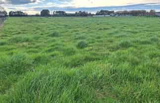 Lot 1 49 Laws Road, Dannevirke