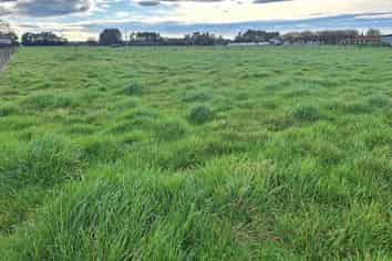 Lot 1 49 Laws Road, Dannevirke
