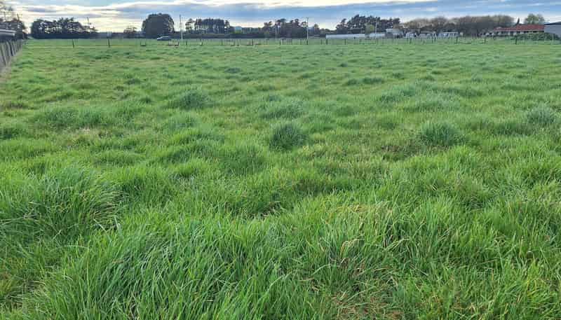 Lot 1 49 Laws Road, Dannevirke