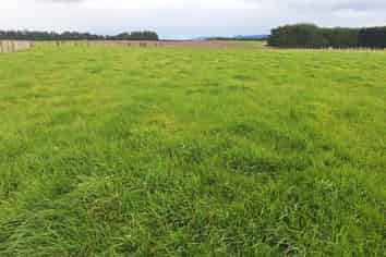 Lot 1 49 Laws Road, Dannevirke