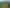 47 Golding Road and 50 Pukekohe East Road, Pukekohe