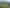 47 Golding Road and 50 Pukekohe East Road, Pukekohe