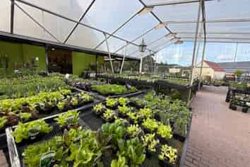 10,426m² ADD VALUE MAIN ROAD SITE - KUMEU