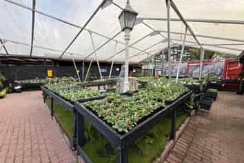 10,426m² ADD VALUE MAIN ROAD SITE - KUMEU