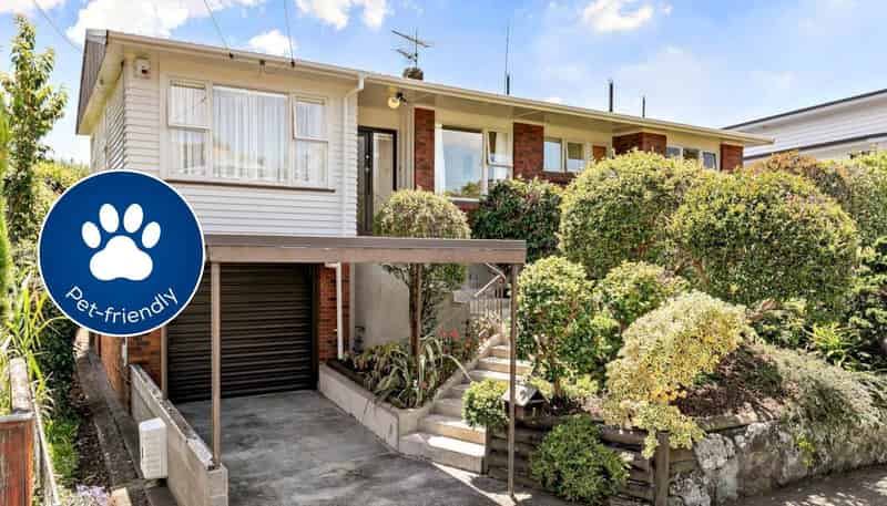 7 Aberfoyle Street, Epsom