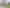 75 Sarabande Avenue, Redwood