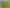 205 Okuti Valley Road, Little River