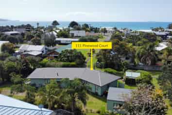 111 Pinewood Court, Matarangi