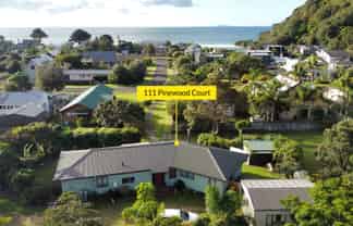 111 Pinewood Court, Matarangi