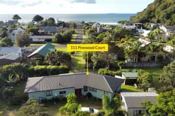 111 Pinewood Court, Matarangi
