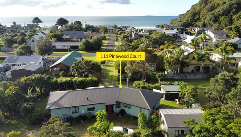 111 Pinewood Court, Matarangi