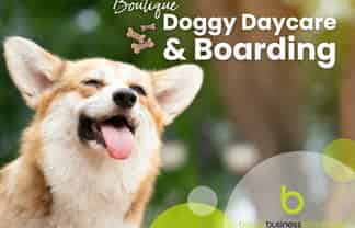 Boutique Doggy Daycare & Boarding - Wellington Region