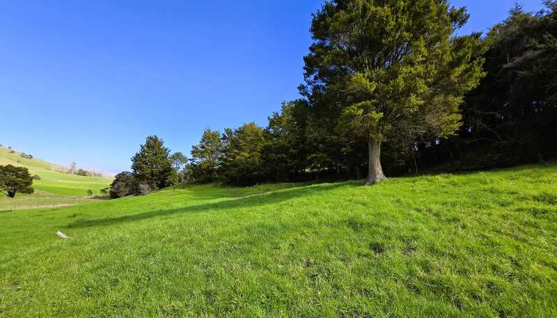  Whakahara Road, Dargaville