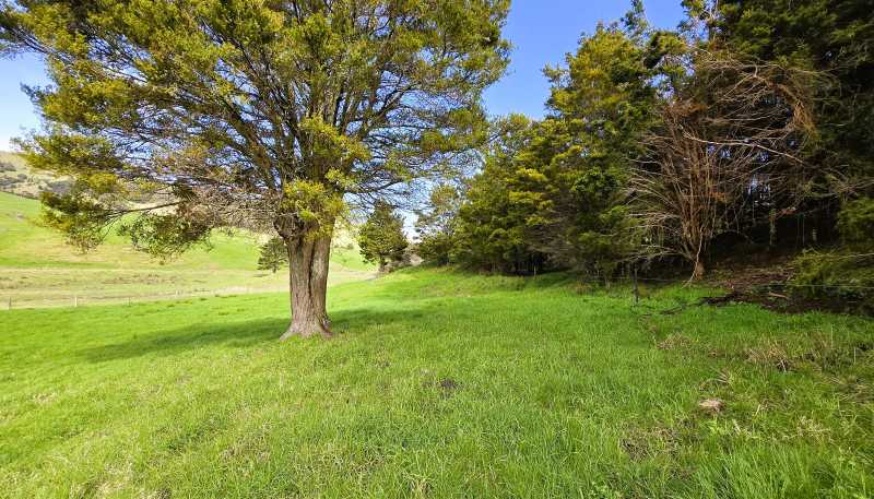  Whakahara Road, Dargaville