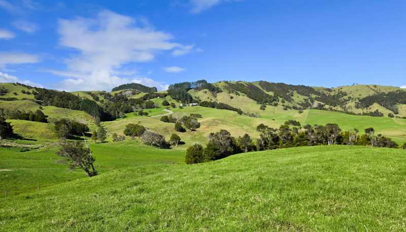  Whakahara Road, Dargaville