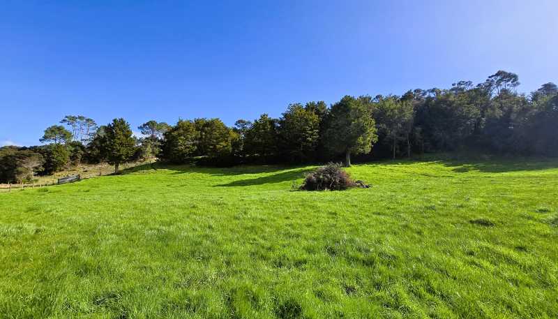  Whakahara Road, Dargaville