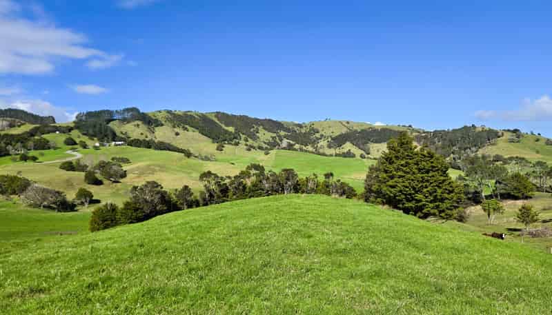  Whakahara Road, Dargaville
