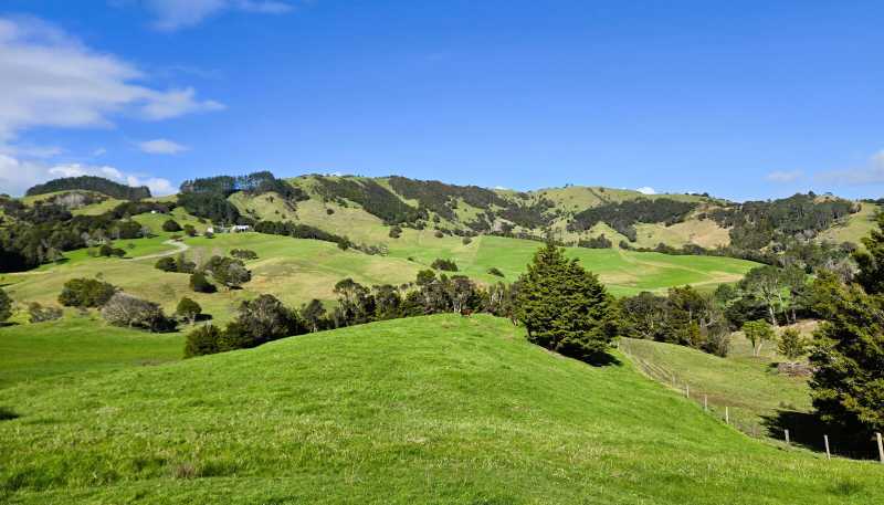  Whakahara Road, Dargaville