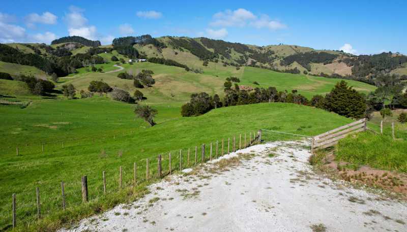  Whakahara Road, Dargaville