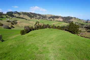 Whakahara Road, Dargaville