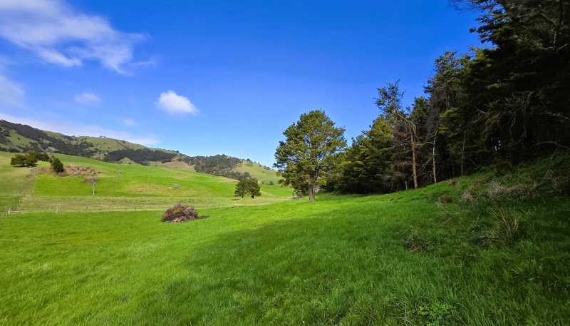  Whakahara Road, Dargaville