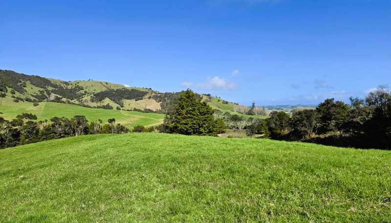  Whakahara Road, Dargaville