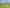262 Pages Road, Gleniti