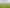 35 Oram Drive, Turitea