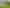 35 Oram Drive, Turitea